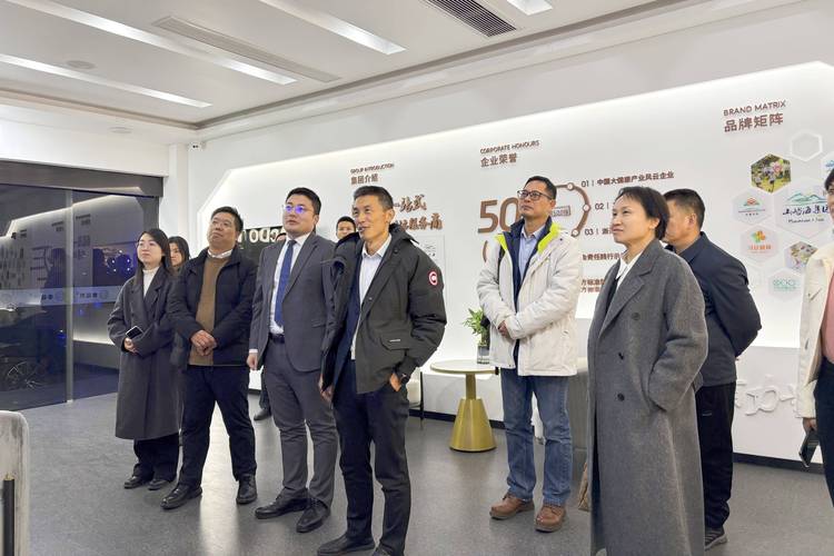 防城港2026本地学习提升方案定制服务商费用解析与正规机构推