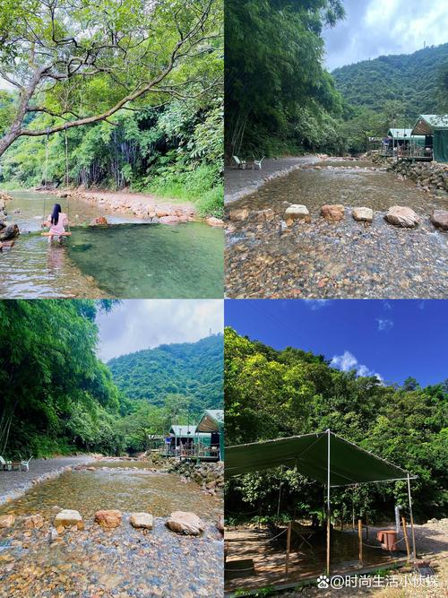 肇庆亲子游2026口碑前十强:本地亲子旅游度假团队排名与避坑