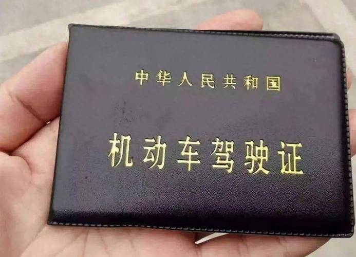 阿拉善C2 驾驶证培训盘点：正规驾校推荐与服务指南