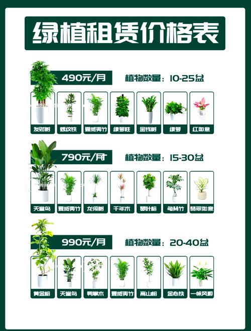 2026包头鲜花绿植本地服务商费用及推荐清单