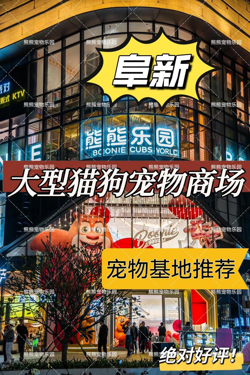 2026年阜新本地宠物玩具售卖哪家强？TOP5正规店铺推荐与