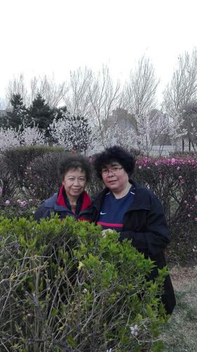 葫芦岛附近同城组队结伴价格解析与正规服务指南