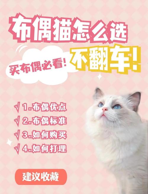 2026淮安宠物逗猫棒费用行情:前十强推荐与选购避坑指南 2026淮安宠物逗猫棒费用行情:前十强推荐与选购避坑指南