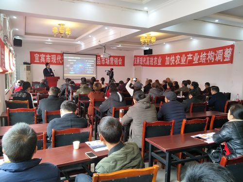 宜宾文体培训课程方案供货机构避坑指南:2026年正规服务商T