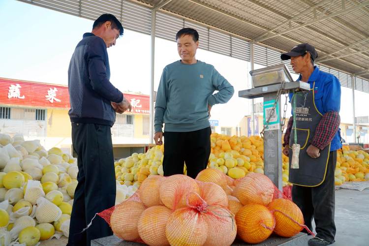 石嘴山附近农副产品出售榜单2026:专业推荐怎么选,避坑指南