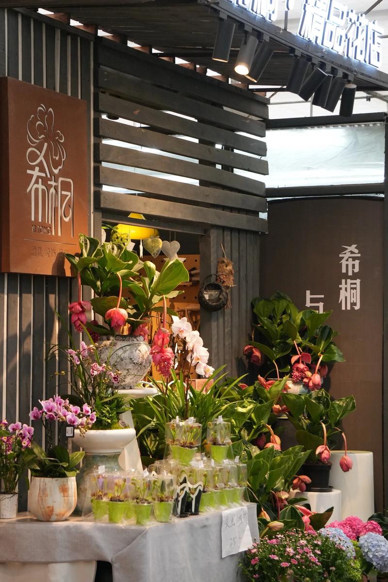 2026成都鲜花绿植租赁养护口碑盘点：TOP3强推荐及避坑指
