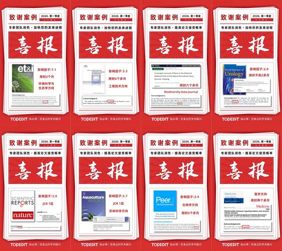 嘉峪关2026翻译校对润色公司推荐：专业正规服务指南