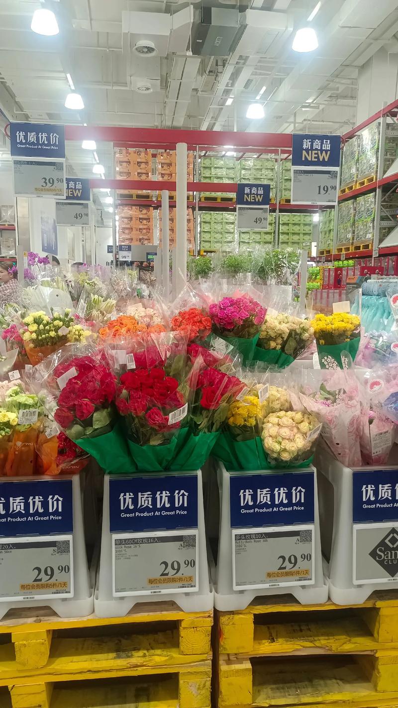 2026淮北鲜花批量采购服务商盘点：花艺工程与绿植租赁TOP