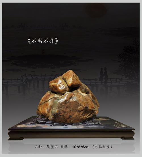 2026年百色附近奇石盆景转让避坑指南：正规渠道与价格参考