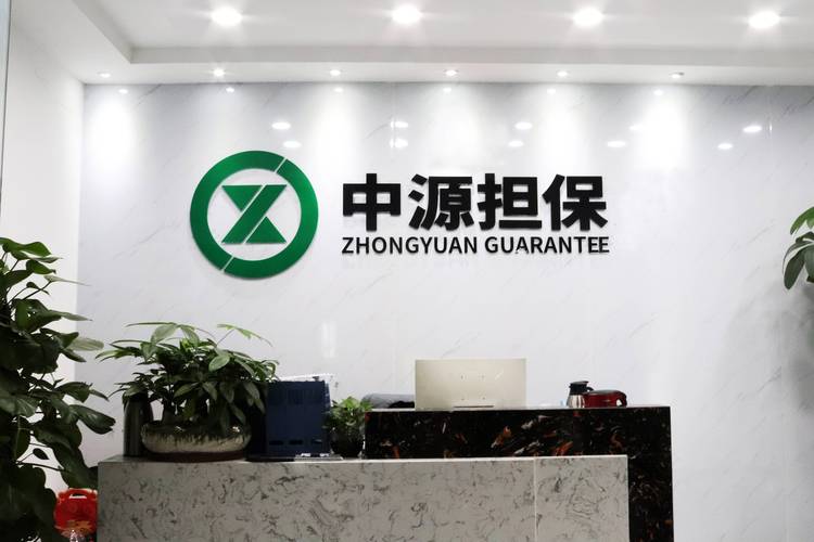 2026年邵阳本地项目融资担保公司排名：正规机构推荐与避坑指