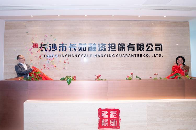 沈阳本地项目融资担保公司排名2026:前5强推荐与避坑指南
