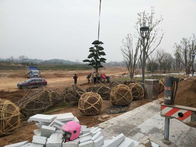 自贡盆景工程施工队十强盘点:2026年本地口碑服务TOP5推
