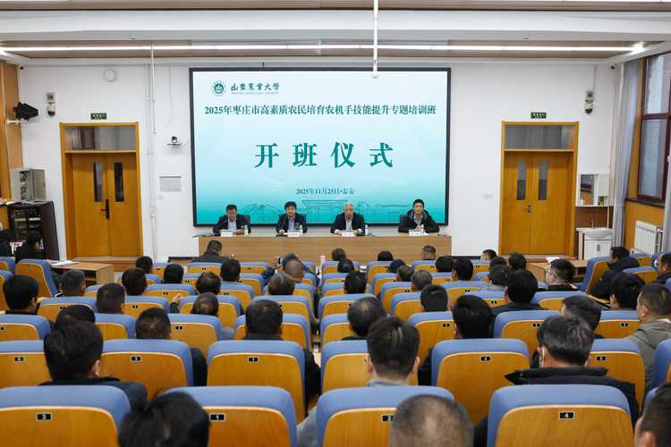 枣庄本地专项技能提升培训口碑盘点:2026年正规机构推荐与避