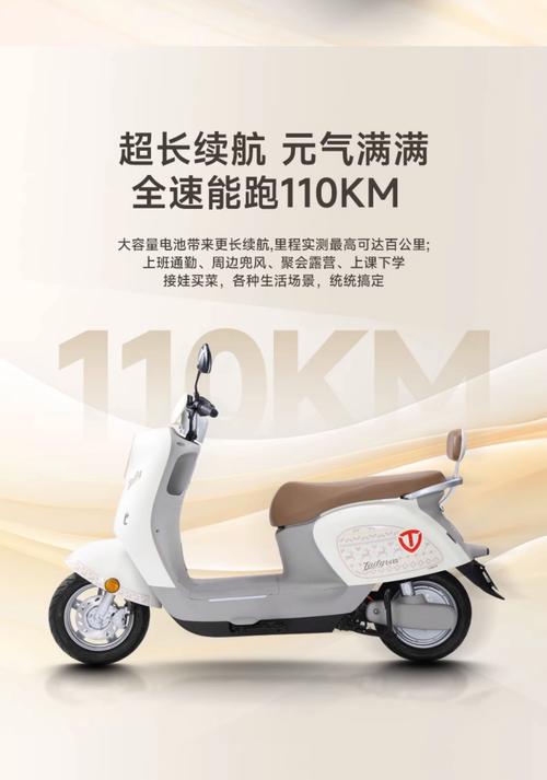 泰州同城代步电瓶车出售推荐清单:2026年主流品牌选购指南与