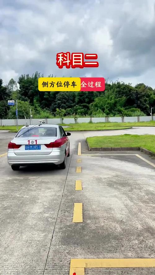 2026平顶山本地侧方停车陪练排行:新手司机避坑指南与推荐清