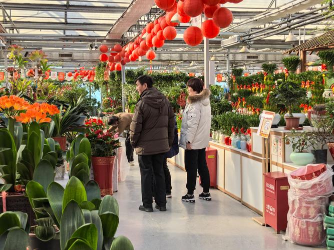 廊坊鲜花绿植经销商十强榜单 2026：源头厂家、工程团队与养