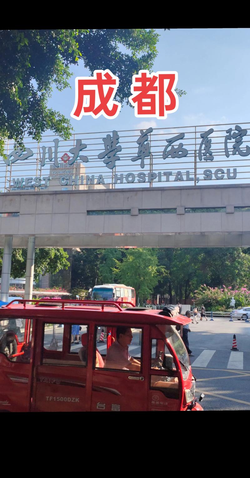 成都病人陪护服务商前十正规名单推荐：如何避坑及费用分析