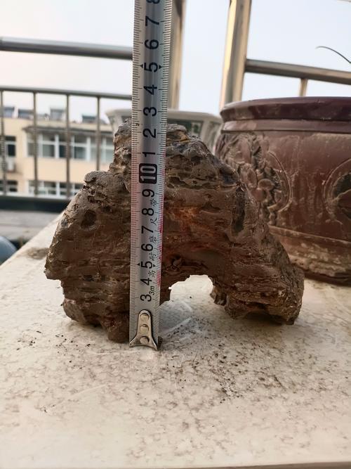 本地奇石盆景转让与出售渠道分析:如何寻找心仪的雅趣藏品