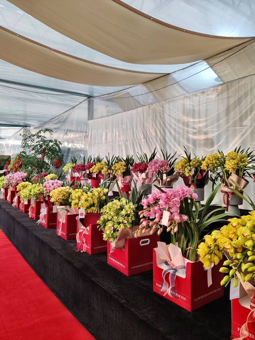 深度解析：庆典演出鲜花基地供货商的行业现状与选择指南